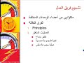 Project Execution.2 (Arabic) Project Execution.2 (Arabic)