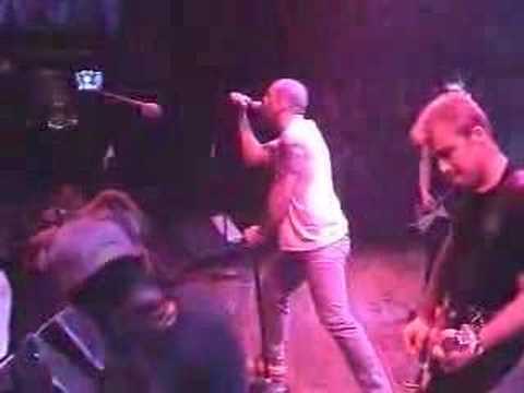 Screeching Weasel Anthem For A New Tomorrow Screeching Weasel Anthem For A New Tomorrow