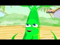 Learn about Plants in Hindi - Conclusion
