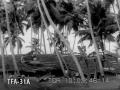 Tropical Ceylon 1932 - Thumb #1
