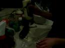 Cucumber Condom --- dedication to sara