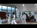 Taekwondo Songahm - 1� Torneio Nacional �poca 08/09 - Final Cintos Roxos a Castanhos