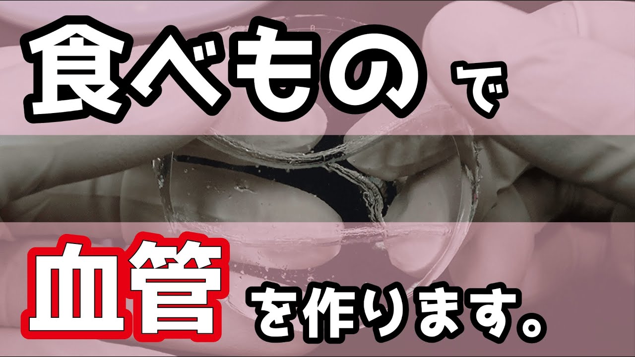 再生医療の研究は実は身近なのかも？【博士学生・研究紹介】