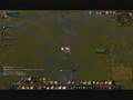 videos de Inquisition a 10K Paladin Retrib 3.0