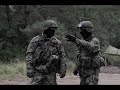 Wojsko Polskie - Lengyel Hadsereg