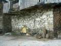 Suertes de Ancares