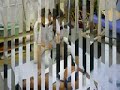 名古屋市北区にある整体院「早く楽に」をモットウの施術がうけられるしみず整体名鉄線清水駅から徒歩6分