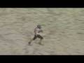 videos de 2008 Huskie Football Highlights of the Year