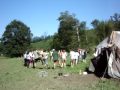 MOV09019.MPG