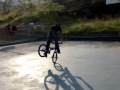 zp2 proxbike flatland