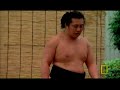 Could You Be A Sumo Wrestler?