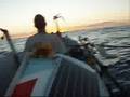 Oyster Shack Ocean Challenger