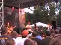 The Gourds - Burn the Honeysuckle (LIVE)