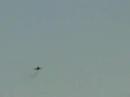 Gathering of Mustangs & Legends - F-16 Fighting Falcon Demo