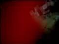 videos de funny bunny gilda y ely