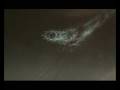 videos de Call Me by Lisa Redford ((Digital Pilots Remix)