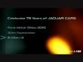 Jaguar 2010 Paris Motor Show Teaser