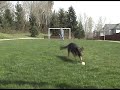 Ollie Heeling in park part 2 March 22-2008