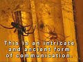 Romancing The Spider, part 1 0f 2.