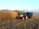 Miscanthus Ernte 2008 Miscanthus Ernte 2008