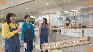 #125 「“案内所“ってどんなところ?」