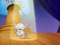 Pinky.Y.Cerebro.Ep03