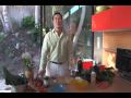 NEW! 2nd Eco Green RAW CUISINE IN TEN MINUTES DVD sample by Bryan Au
