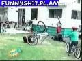 Funny people and animals video