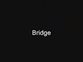 came-to-the-rescue-introverse-bridge.html