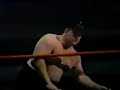 king kong  bruiser  brody vs leon  white