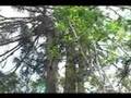 Ecoturismo 3 minutos