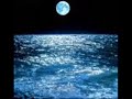 Nautiloids - Nautiloid reef
