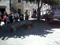 Alto Douro Património Mundial XXXVII