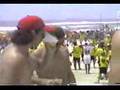 Bovinos no litoral 2006 part2