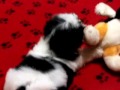 Thumbnail #2
