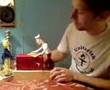 The Toby and Rosalee Automata Show