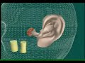 EarProTec Akamai Hearing Protection for Your Hawaii Workers