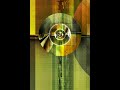 Stranjah and Gremlinz - Breach