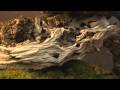 Bonsai - EBA-Lorca 2009 (short)