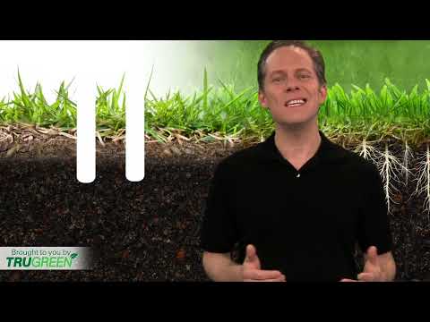 how to aerate and fertilize a lawn