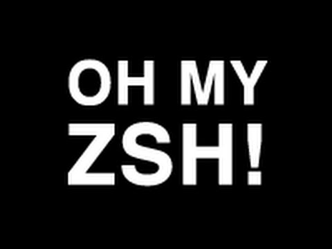 how to set zsh theme