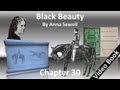 Chapter 30 - Black Beauty by Anna Sewell