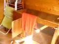 cabane de jardin