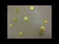 Konga line with hanukkah coins claymation