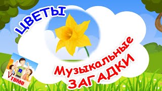 ЦВЕТЫ 1. Музыкальные загадки для детей.