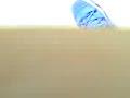 WATER BOTTLE!!! JOSH AND BRIAN
