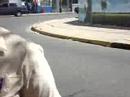 CLUB SOCIAL \"LA MATIKA\":HOY ... LAS FINANZAS DEL CLUB