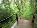 Big Island Eco Adventures Zipline 5 - First Dirt Landing