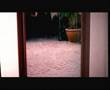 Levi Strauss Signature Jeans TV Commercial