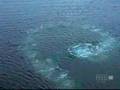 Humpback Whale: Hunting Technique